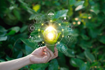 New Businesses and Holdings Business Group