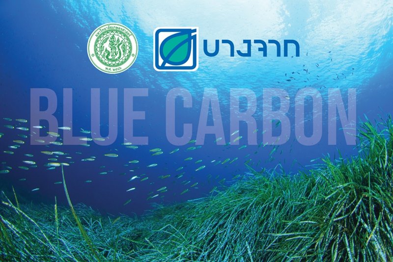 Bangchak supports pioneer study of Blue Carbon: sea grass in eastern coral reefs to reduce GHG emissions