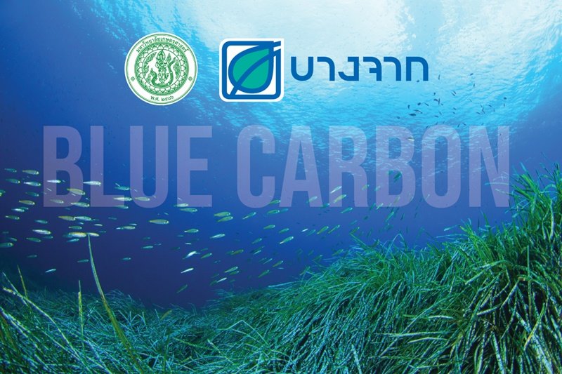 บางจากฯ หนุนลดก๊าซเรือนกระจก สนับสนุนการศึกษา Blue Carbon ของแหล่งหญ้าทะเลในแนวปะการังภาคตะวันออกเป็นครั้งแรก