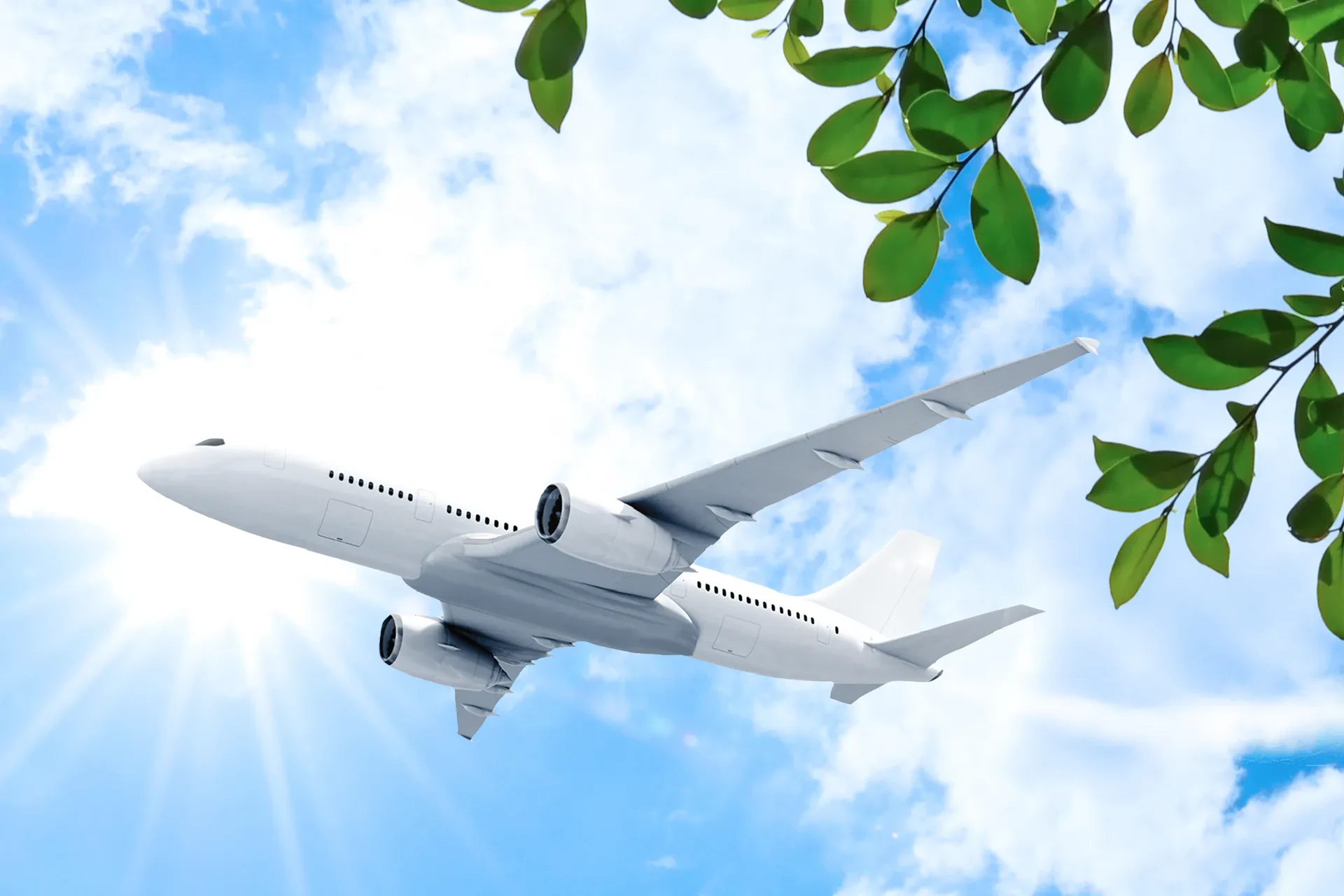 Farm to Fly: จากผืนดินสู่ผืนฟ้า